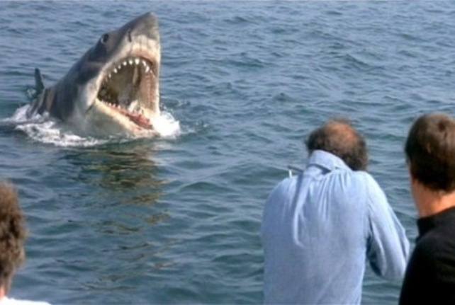 Jaws2.jpg