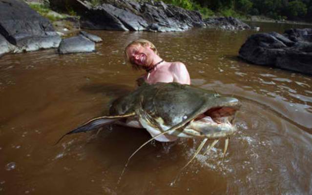 Рыбы-убийцы ( фото, видео). В Скандинавии появилась рыба, питающаяся мужскими яичками Ec281d3cccfe4bb9c41cbdf7ba8309dd
