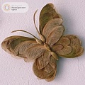Декоративная бабочка из кленовых вертолетиков
