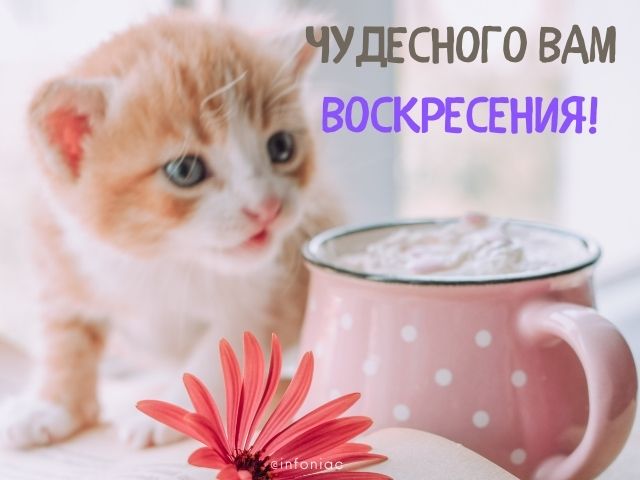 воскресение приметы