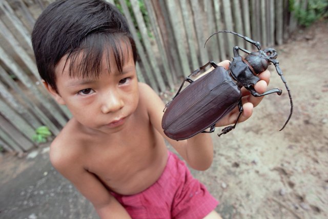 Фото самый большой червь в мире фото