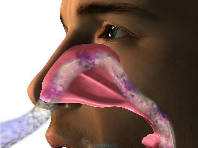 Мокрота в горле без кашля лечение народными средствами thumbnail