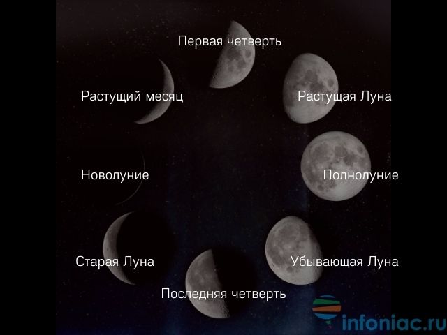 Лф новолуние фото и описание