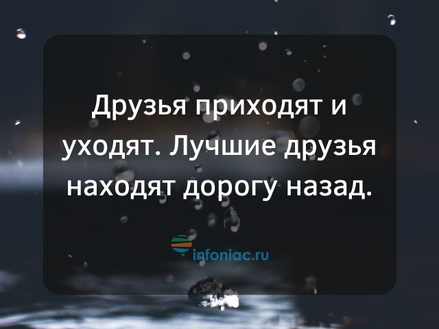 цитаты о лучших друзьях