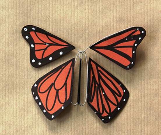 Красные бабочки и стрекозы