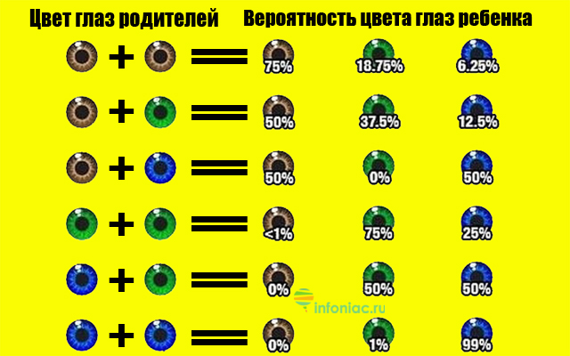 Какой цвет глаз будет у ребенка если у родителей голубые и желтые