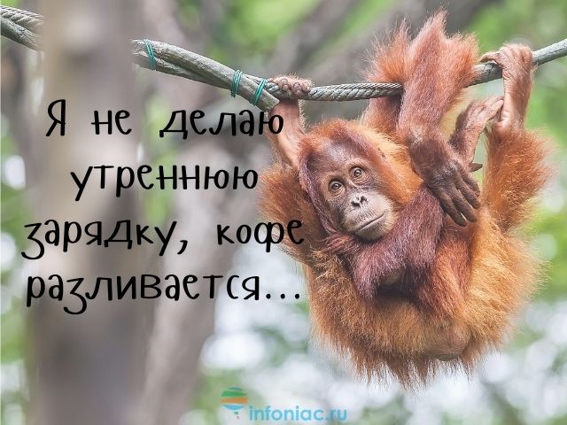 кофе прикольная картинка с надписями