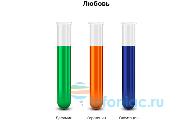 Какой гормон вырабатывается во время секса и на что он влияет?