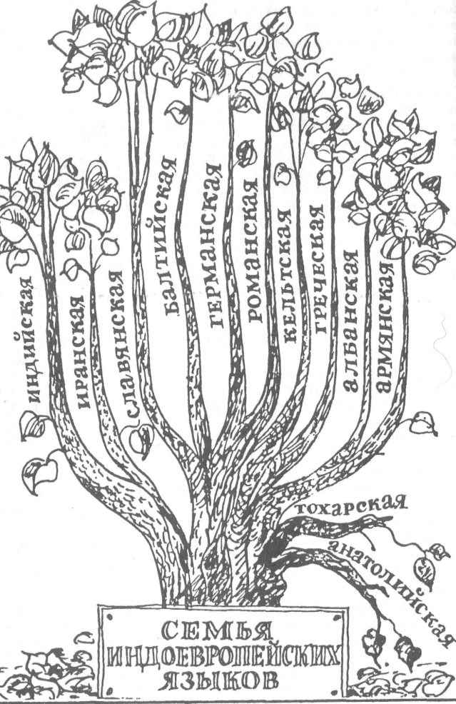 Родство языков схема