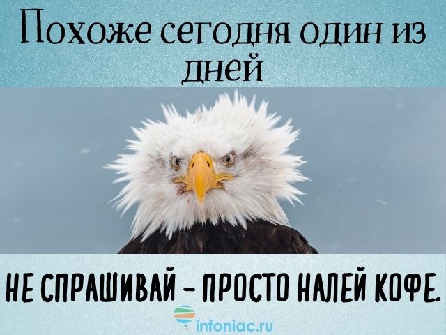 картинка смешная про кофе