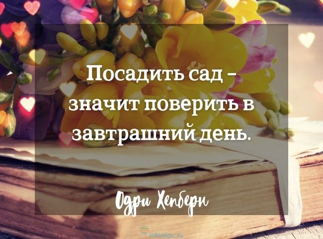 весенние цитаты