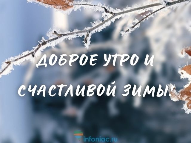 С добрым утром и первым снегом: 40 пожеланий и картинок с надписями