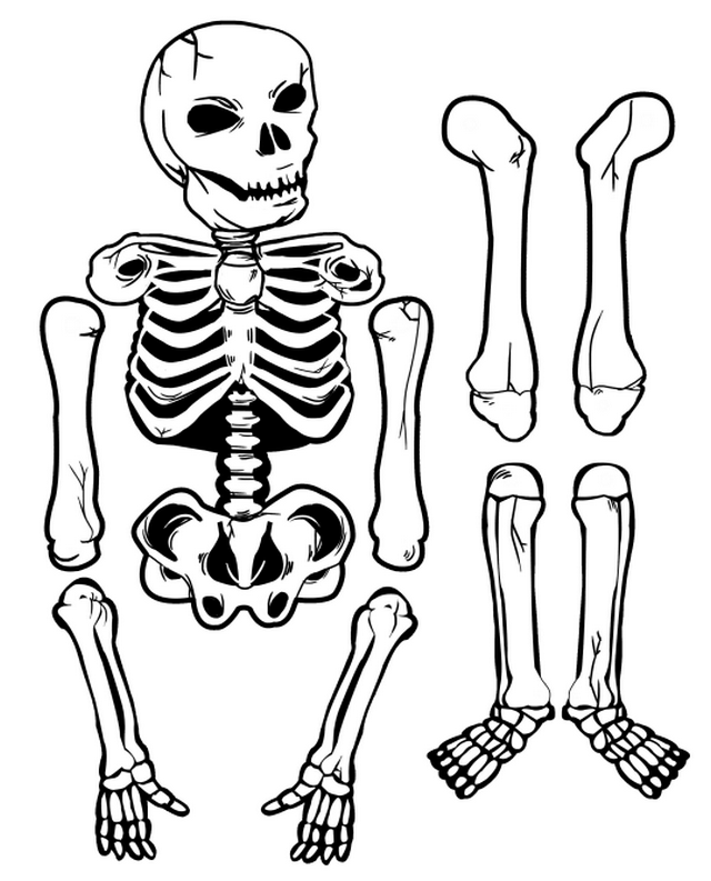 Скелет из бумаги на Хэллоуин