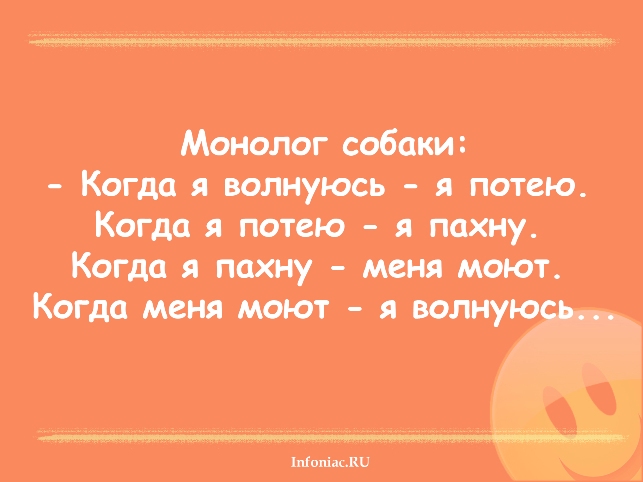 А ты мне нравишься так что потеют. Когда меня моют я волнуюсь. Когда я волнуюсь я потею. Когда я нервничаю я потею.