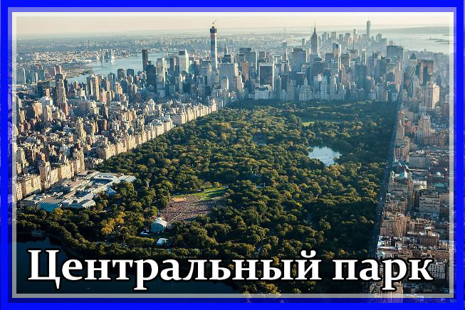 central-park.jpg