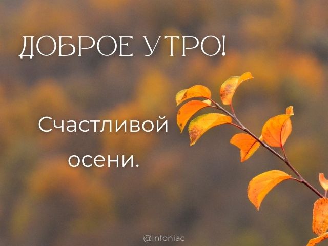 Осенние картинки: Доброе Утро!