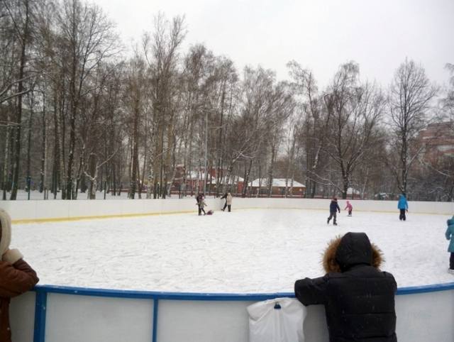 Воронцовский парк каток