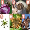 Тест: Выбери животное и получи послание от природы!
