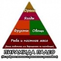 Палео диета от наших предков: худейте без вреда для здоровья