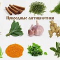 10 природных антибиотиков, которые лучше любых лекарств