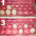 Простой тест: Расположите яйца в коробке, и узнайте свою скрытую силу