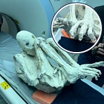 Нечеловеческие отпечатки пальцев: новые подробности о мумиях из Перу